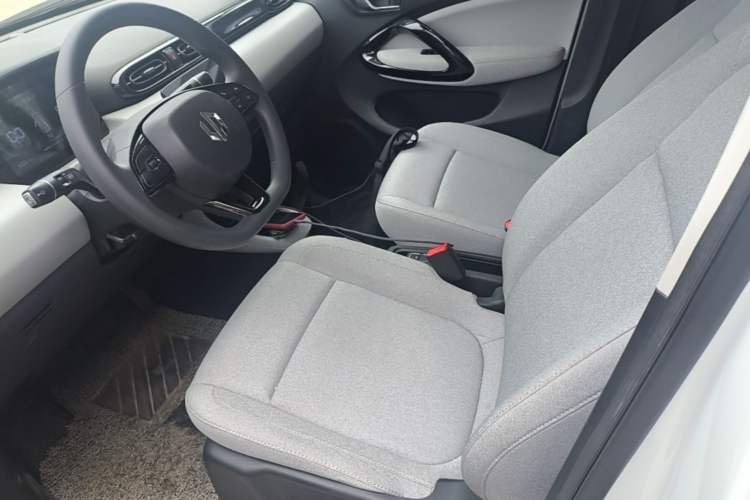Used Leapmotor T03 2023 310 Lite Edition Left Front Seat