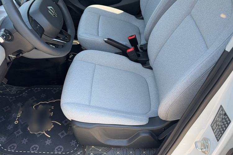 Used Leapmotor T03 2023 200 Lite Edition Left Front Seat