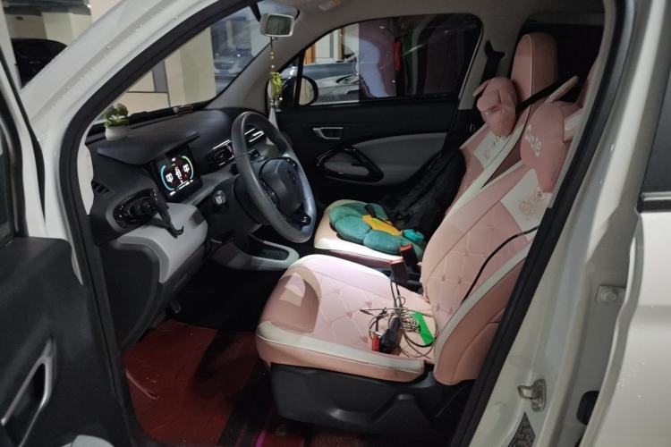 Used Leapmotor T03 2023 310 Lite Edition Left Front Seat