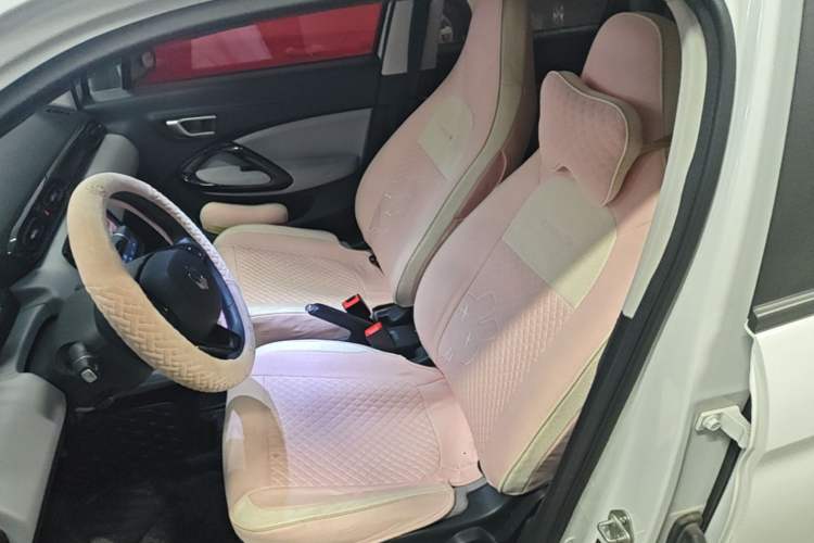 Used Leapmotor T03 2023 200 Lite Edition Left Front Seat