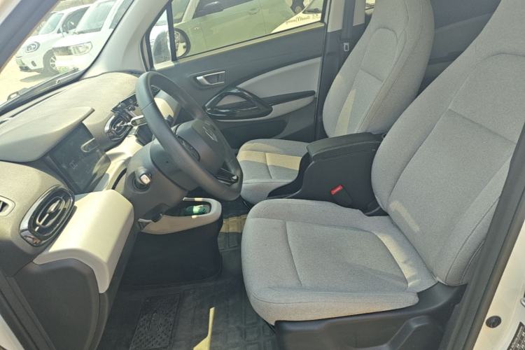 Used Leapmotor T03 2023 310 Lite Edition Left Front Seat