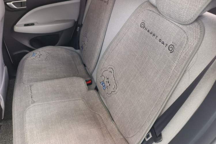 Used Leapmotor T03 2023 310 Lite Edition Left Rear Seat