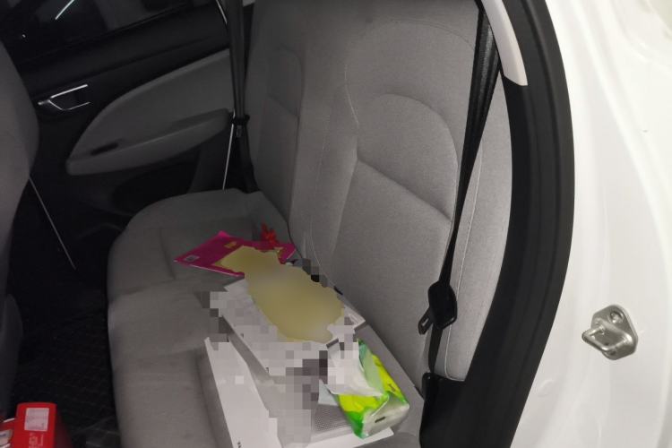 Used Leapmotor T03 2023 310 Lite Edition Left Rear Seat