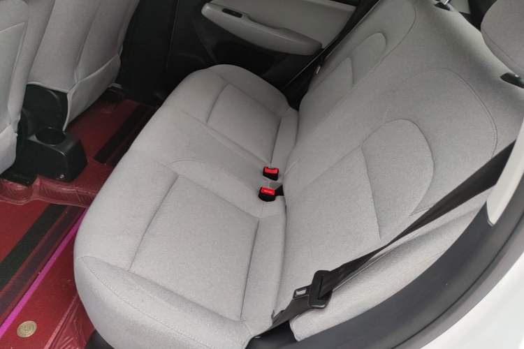 Used Leapmotor T03 2023 310 Lite Edition Left Rear Seat