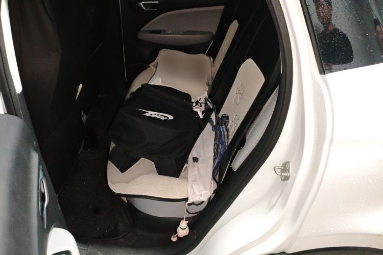 Used Leapmotor T03 2023 310 Lite Edition Left Rear Seat