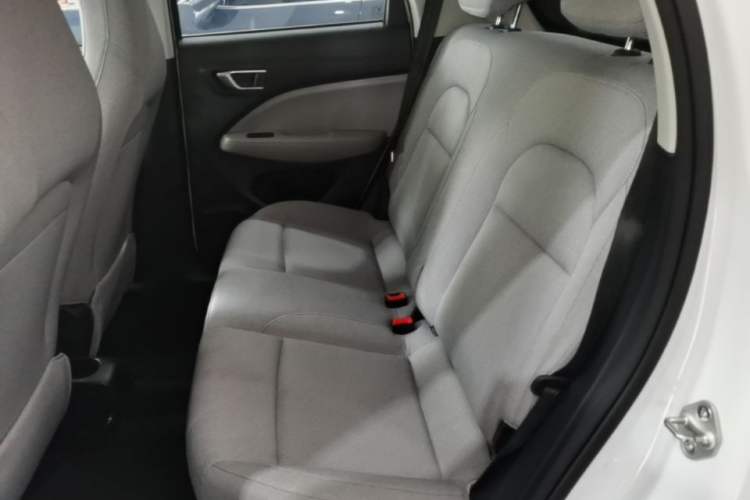 Used Leapmotor T03 2023 310 Lite Edition Left Rear Seat