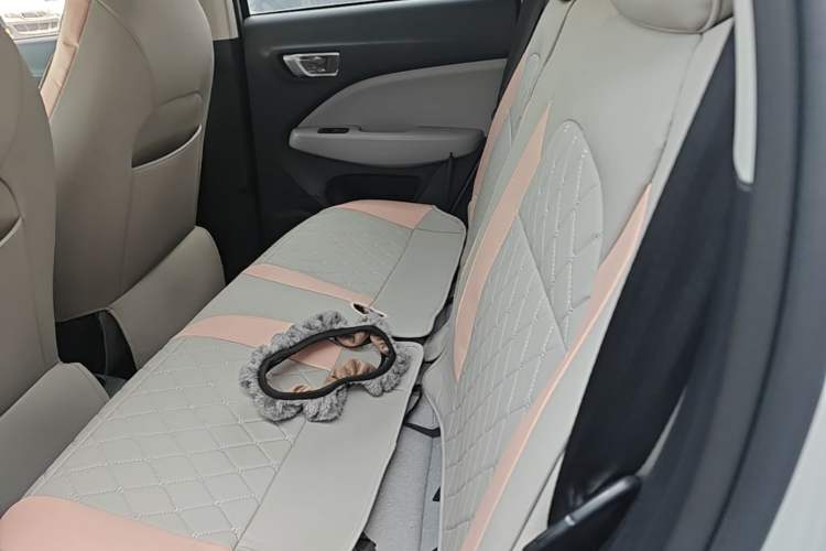 Used Leapmotor T03 2023 310 Lite Edition Left Rear Seat