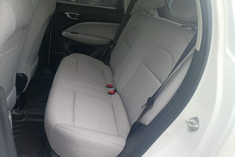 Used Leapmotor T03 2023 310 Lite Edition Left Rear Seat
