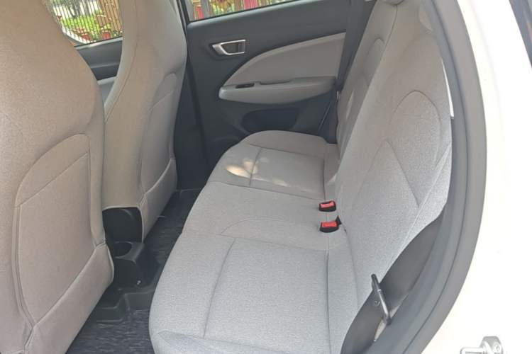 Used Leapmotor T03 2023 310 Lite Edition Left Rear Seat