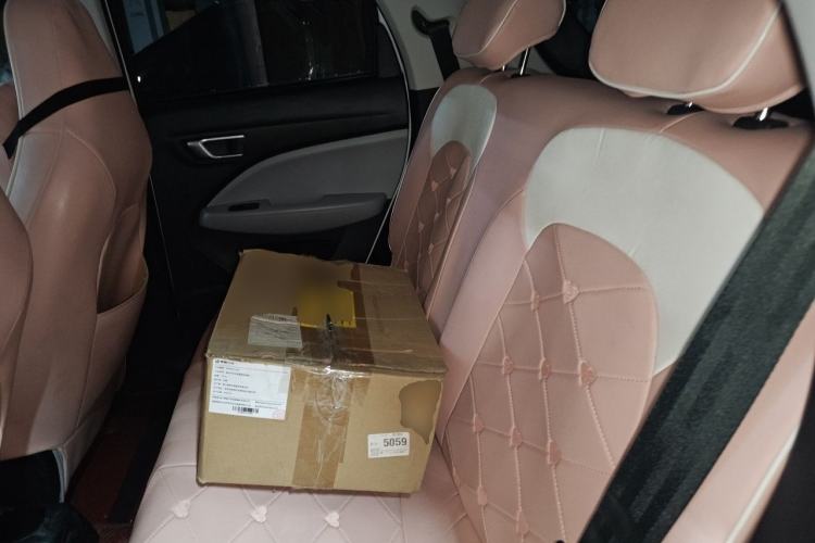 Used Leapmotor T03 2023 310 Lite Edition Left Rear Seat