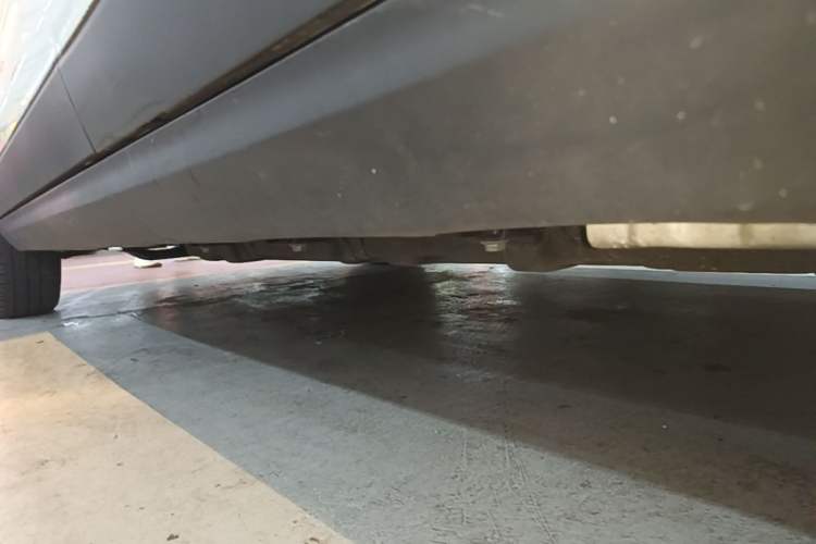 Used Leapmotor T03 2023 310 Lite Edition Left Side Sill