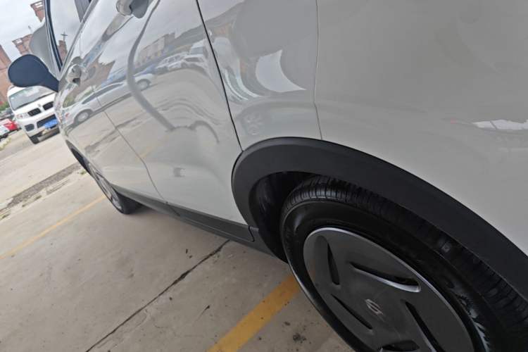Used Leapmotor T03 2023 200 Lite Edition Left Side Sill