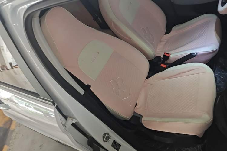 Used Leapmotor T03 2023 200 Lite Edition Right Front Seat