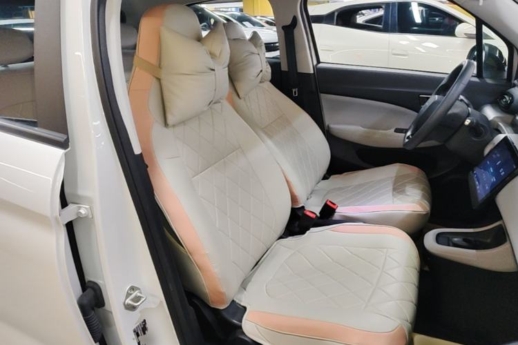 Used Leapmotor T03 2023 200 Lite Edition Right Front Seat