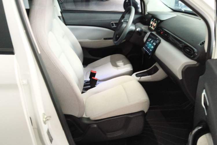 Used Leapmotor T03 2023 310 Lite Edition Right Front Seat