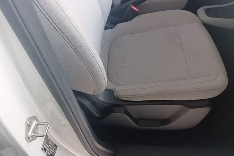 Used Leapmotor T03 2023 200 Lite Edition Right Front Seat