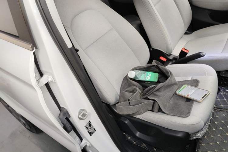 Used Leapmotor T03 2023 200 Lite Edition Right Front Seat
