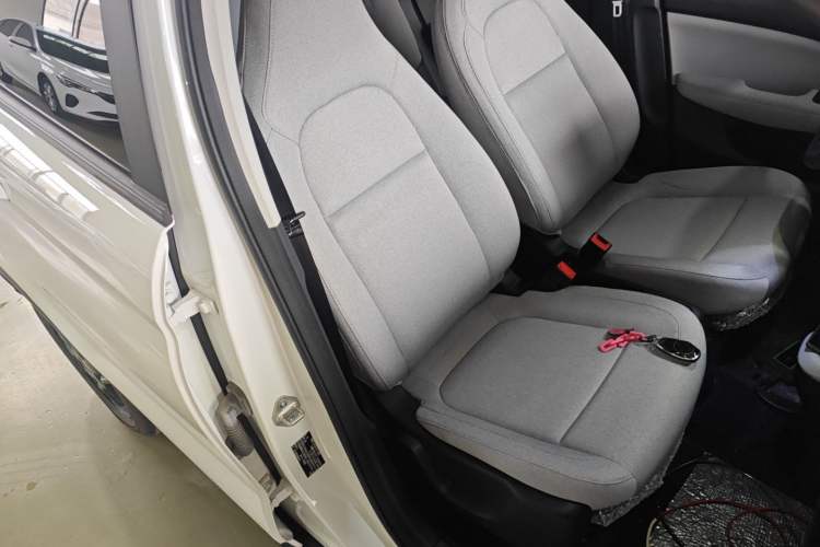 Used Leapmotor T03 2023 403 Smart Edition Right Front Seat