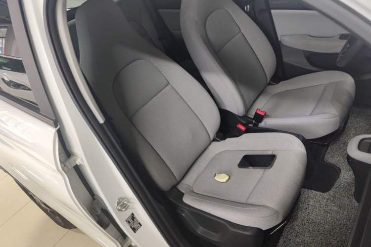 Used Leapmotor T03 2023 310 Lite Edition Right Front Seat