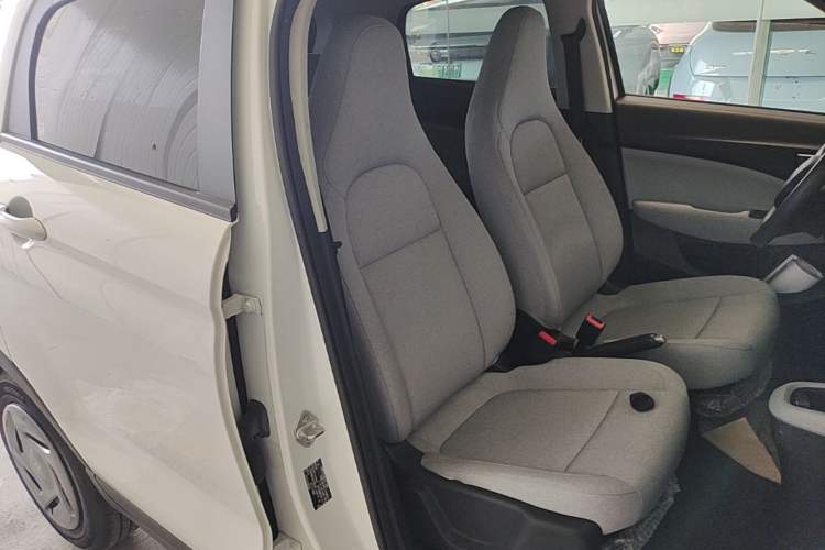 Used Leapmotor T03 2023 200 Lite Edition Right Front Seat