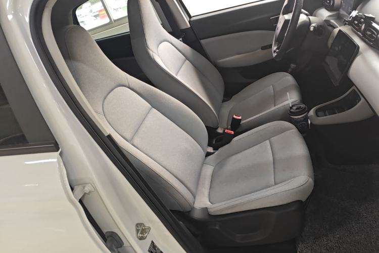 Used Leapmotor T03 2023 310 Lite Edition Right Front Seat