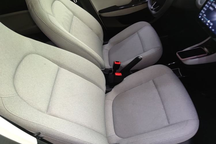 Used Leapmotor T03 2023 200 Lite Edition Right Front Seat