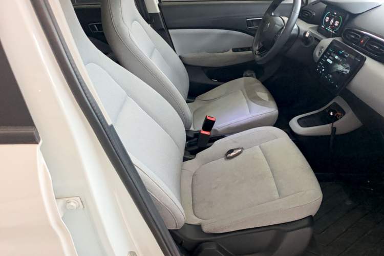 Used Leapmotor T03 2023 310 Lite Edition Right Front Seat