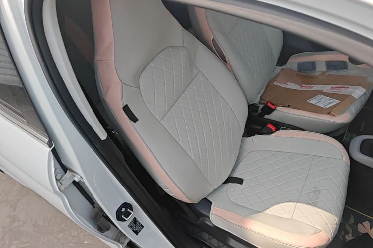 Used Leapmotor T03 2023 310 Lite Edition Right Front Seat