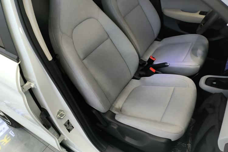 Used Leapmotor T03 2023 200 Lite Edition Right Front Seat