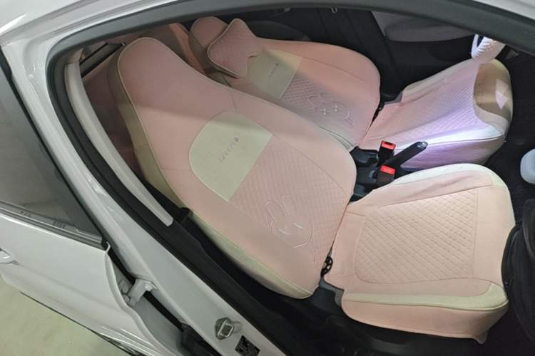 Used Leapmotor T03 2023 200 Lite Edition Right Front Seat