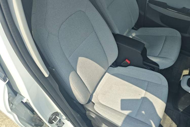 Used Leapmotor T03 2023 310 Lite Edition Right Front Seat