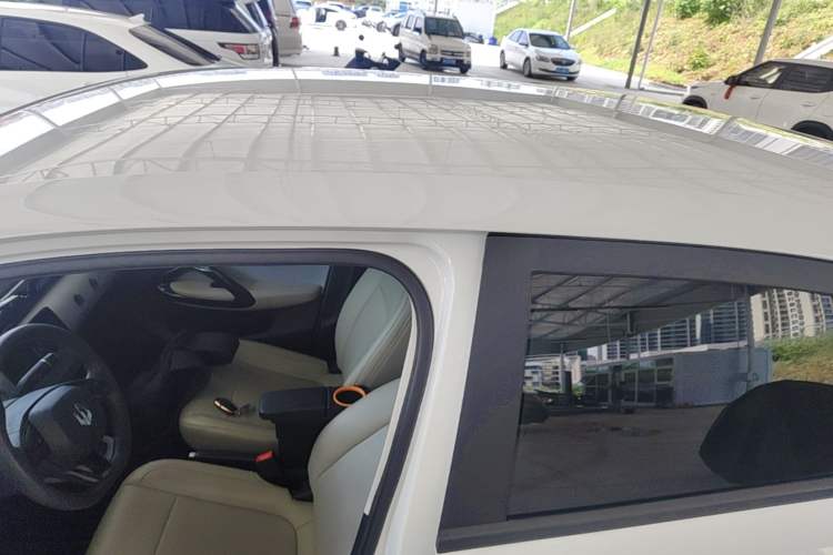 Used Leapmotor T03 2023 200 Lite Edition Roof