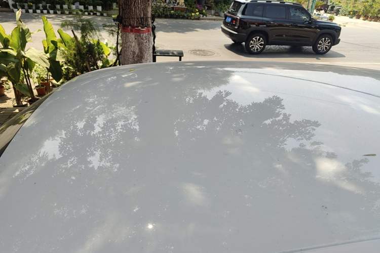 Used Leapmotor T03 2023 403 Lite Edition Roof