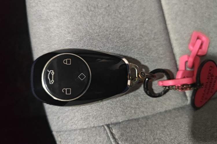 Used Leapmotor T03 2023 403 Smart Edition Vehicle Key