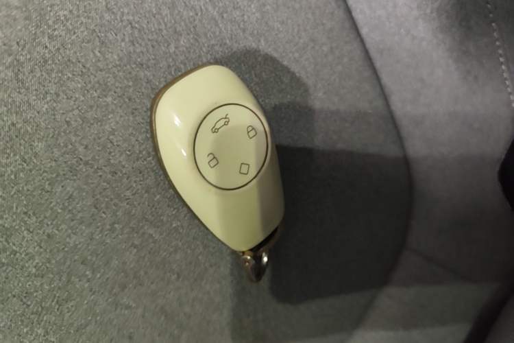 Used Leapmotor T03 2023 310 Lite Edition Vehicle Key