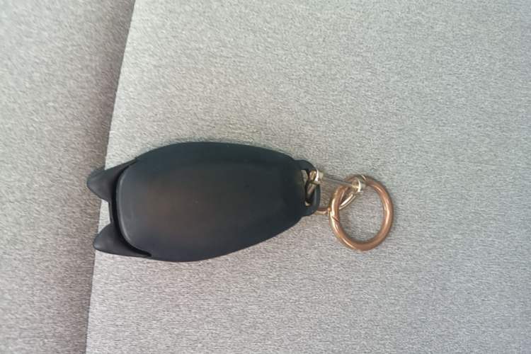 Used Leapmotor T03 2023 310 Lite Edition Vehicle Key