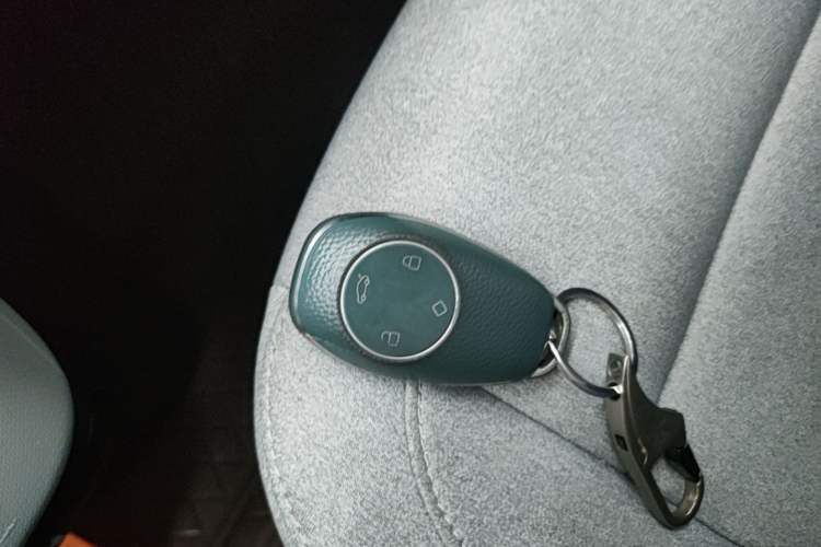 Used Leapmotor T03 2023 310 Lite Edition Vehicle Key