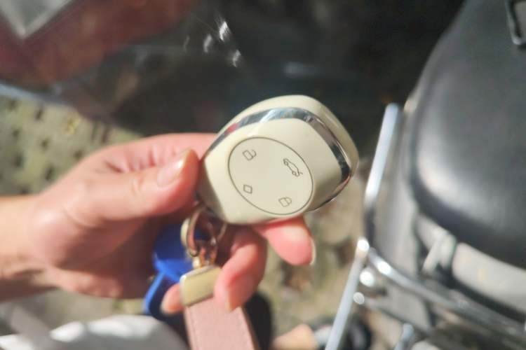 Used Leapmotor T03 2023 200 Lite Edition Vehicle Key