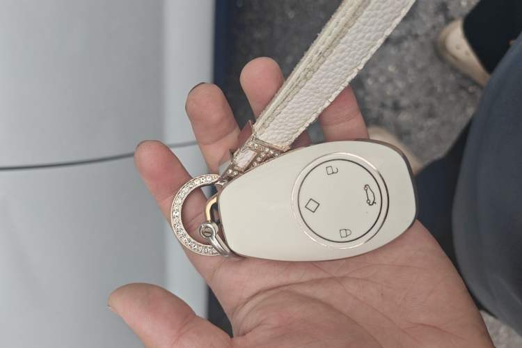 Used Leapmotor T03 2023 200 Lite Edition Vehicle Key