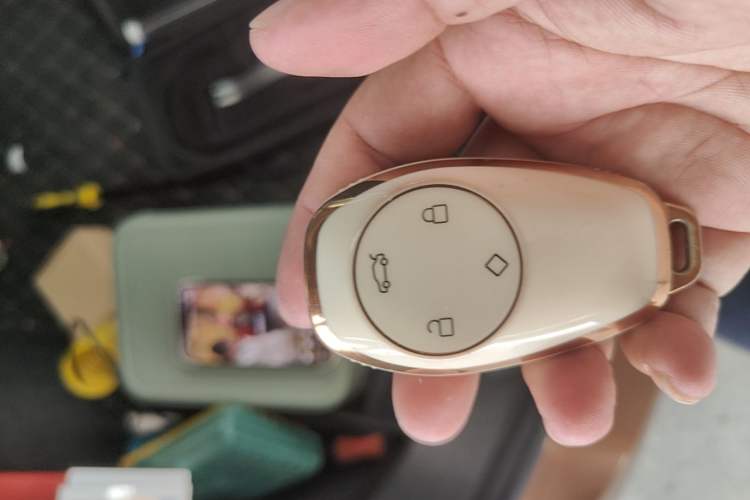 Used Leapmotor T03 2023 310 Lite Edition Vehicle Key