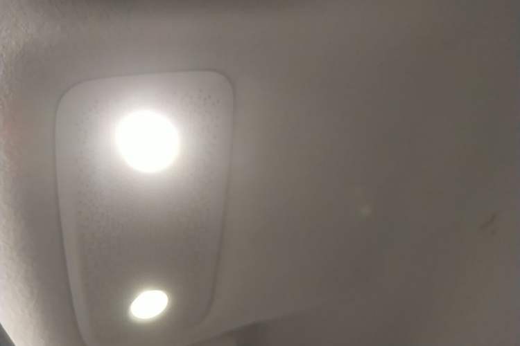 Used Leapmotor T03 2023 403 Lite Edition Headliner
