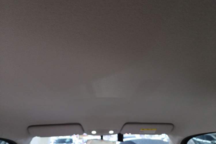 Used Leapmotor T03 2023 310 Lite Edition Headliner