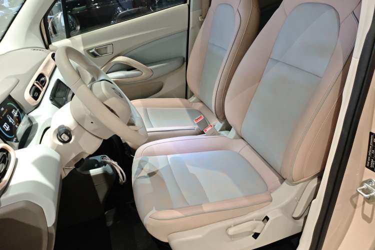 Used Leapmotor T03 2023 403 Lite Edition Left Front Seat