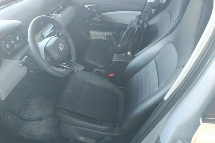 Used Leapmotor T03 2023 403 Lite Edition Left Front Seat
