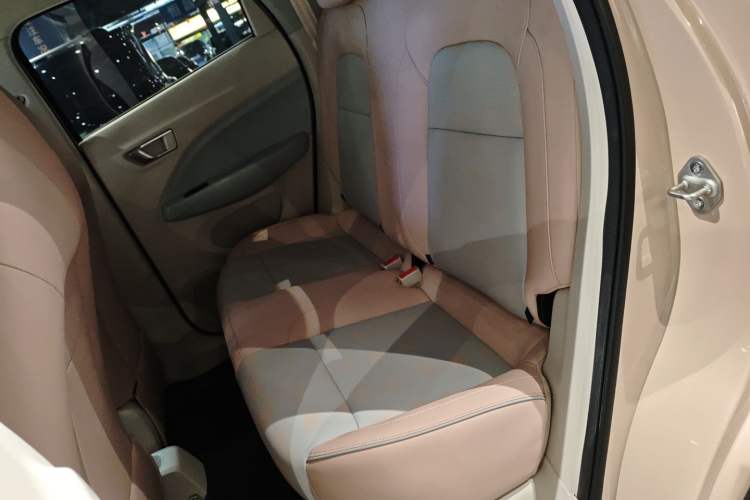 Used Leapmotor T03 2023 403 Lite Edition Left Rear Seat