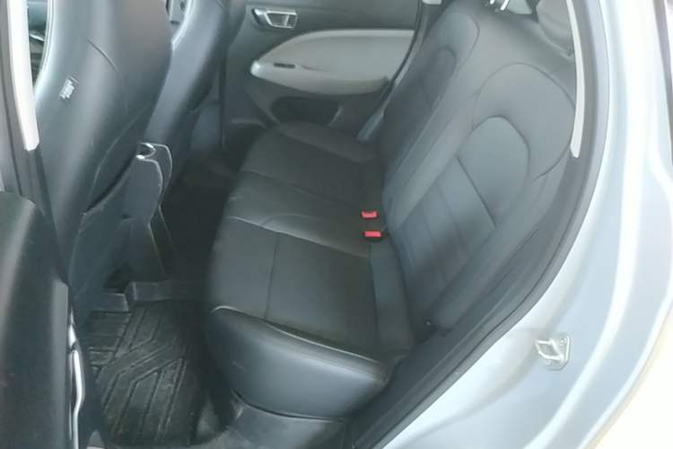 Used Leapmotor T03 2023 403 Lite Edition Left Rear Seat