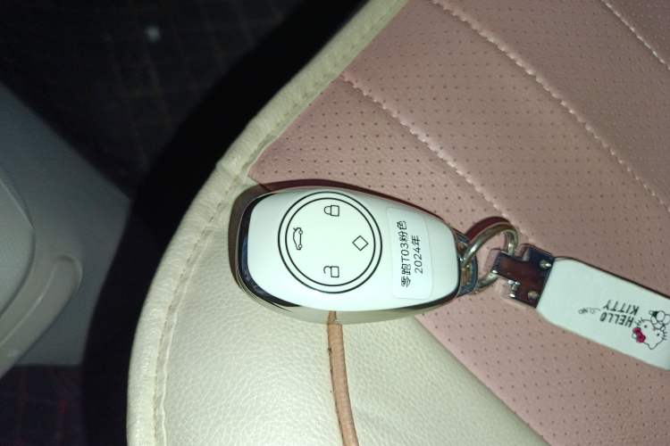 Used Leapmotor T03 2023 310 Lite Edition Vehicle Key