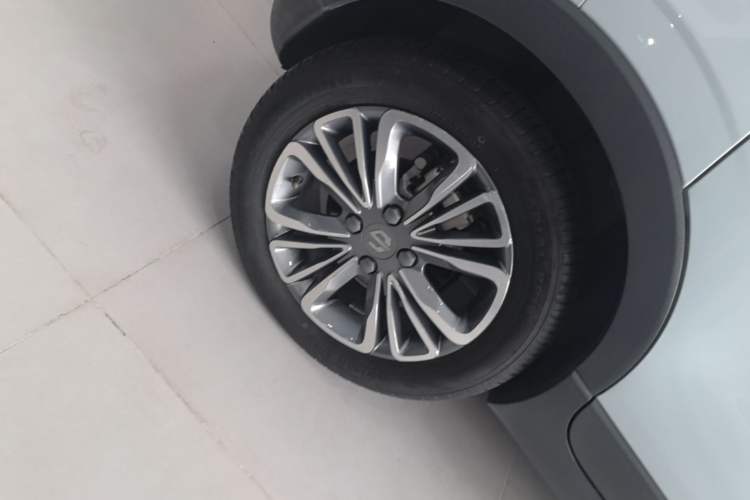 Used Leapmotor T03 2024 310 Comfort Edition Exterior 5