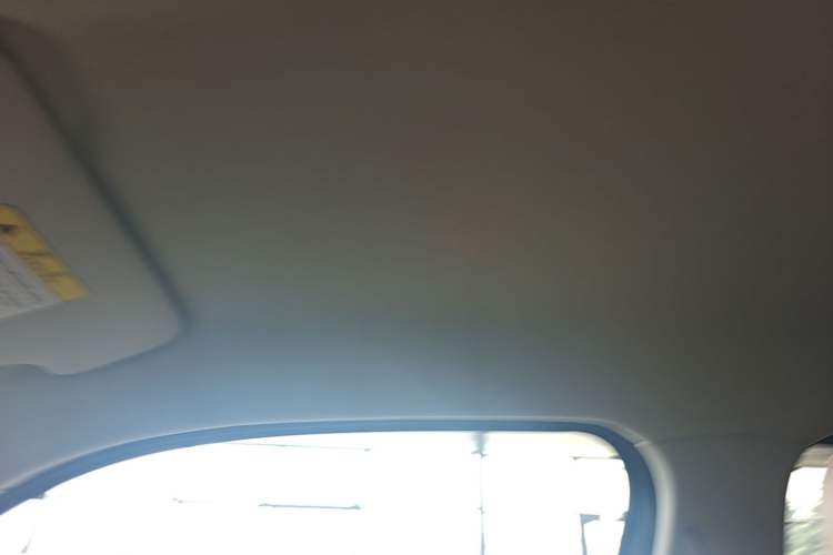 Used Leapmotor T03 2024 310 Comfort Edition Headliner