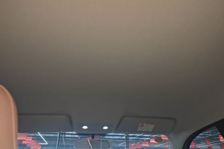 Used Leapmotor T03 2024 310 Comfort Edition Headliner